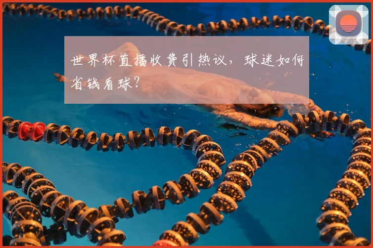 世界杯直播收费引热议，球迷如何省钱看球？