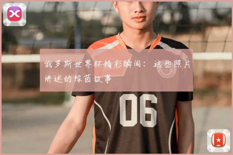 俄罗斯世界杯精彩瞬间:这些照片讲述的绿茵故事