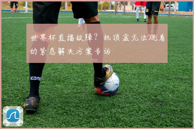 世界杯直播故障？机顶盒无法观看的紧急解决方案专访