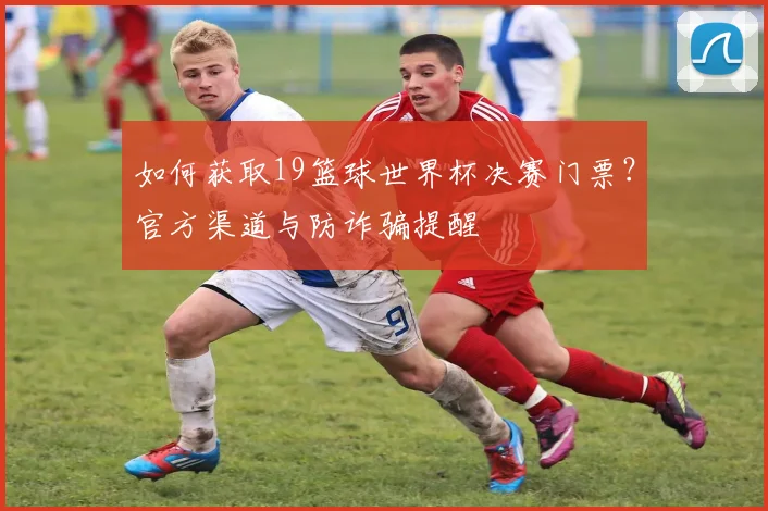 如何获取19篮球世界杯决赛门票？官方渠道与防诈骗提醒